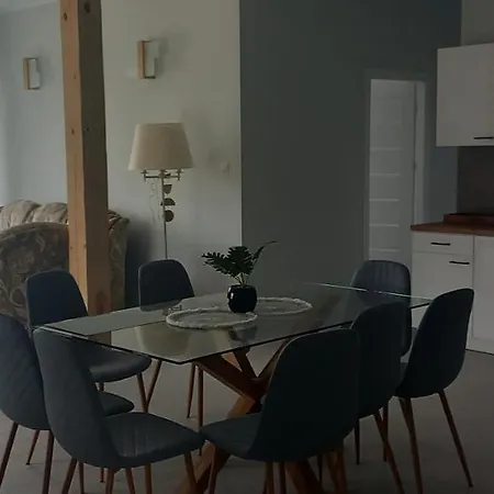 Mazurskie Wzgorze Bis Z Basenem Apartmán Rydzewo (Gizycko)